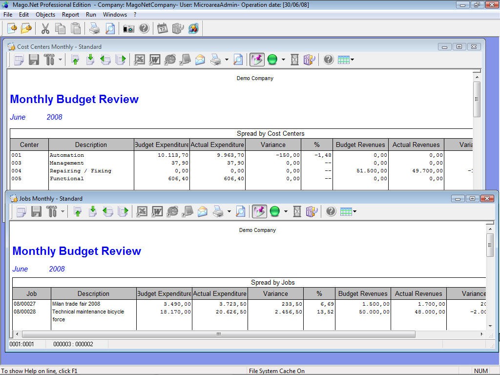 Monthly budget review